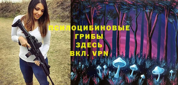 крисы Магадан