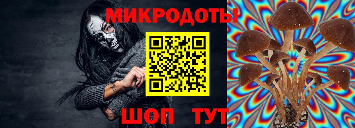 Псилоцибиновые грибы GOLDEN TEACHER  Псилоцибиновые грибы GOLDEN TEACHER  Вход с VPN  Кстово 