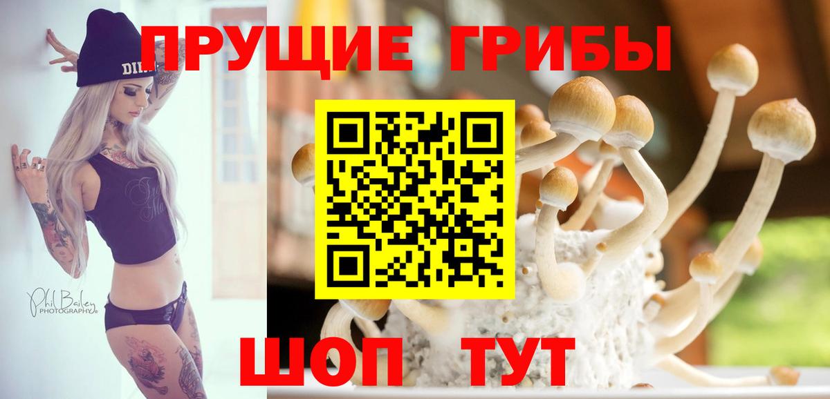 Псилоцибиновые грибы ЛСД Кстово