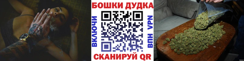 Шишки марихуана сатива  Кстово 